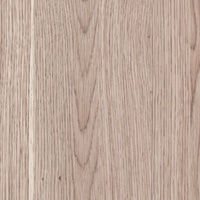 APL_048 - Flared oak - Dub zilnaty